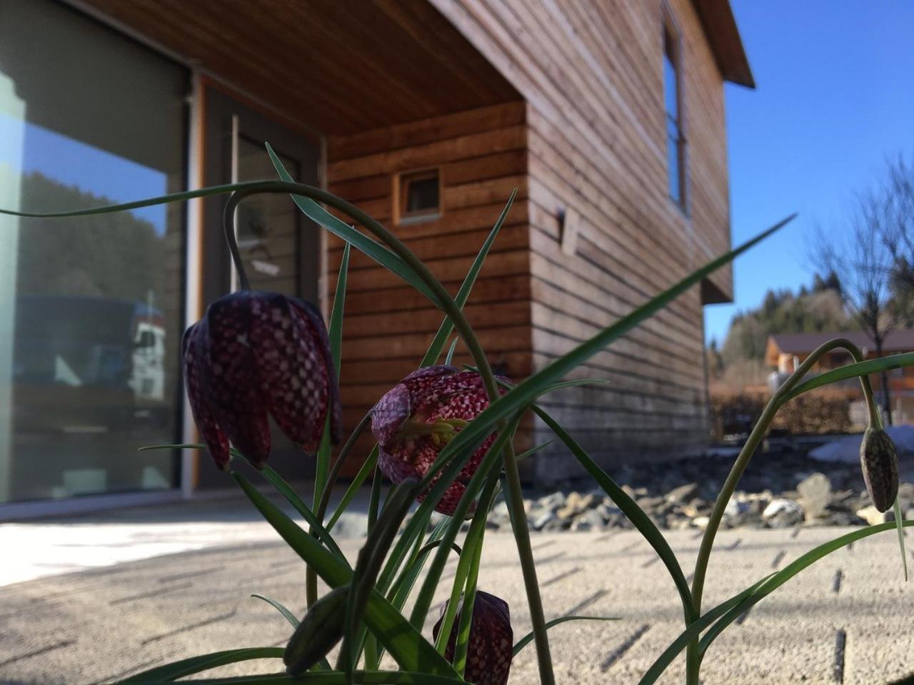 Gaestewohnung Zum Atelier Immenstadt im Allgäu Buitenkant foto